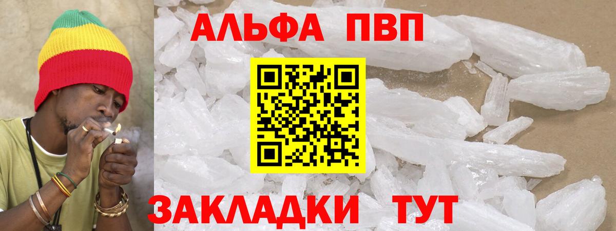 APVP СК Кингисепп