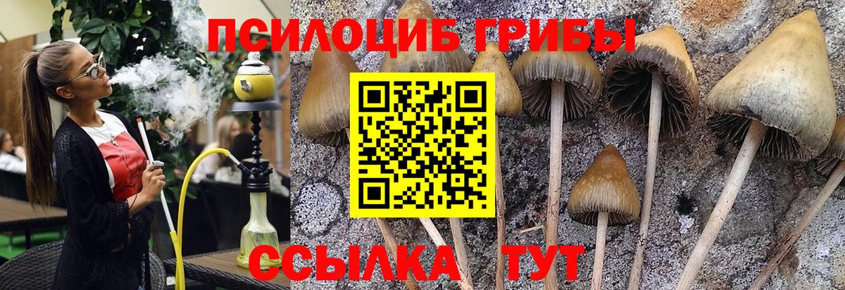 Галлюциногенные грибы GOLDEN TEACHER  Галлюциногенные грибы MAGIC MUSHROOMS  Кингисепп  хочу   Вход с VPN 