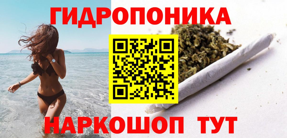 Марихуана OG Kush Кингисепп